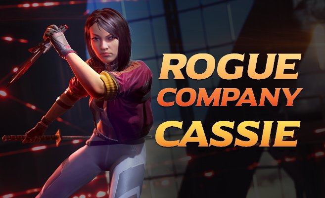 Release] rogue company internal cheat